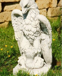 Aquila con Pesce