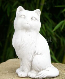 Gatto