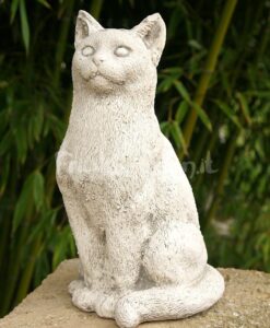 Gatto 1