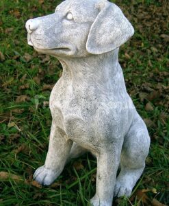 The Dog