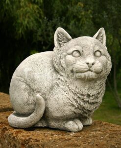 Gatto Ciccio