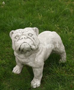 Bulldog
