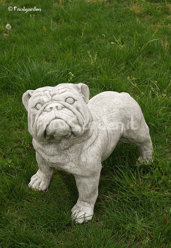Friulgarden: ANIMALI – Bulldog (AN 048)