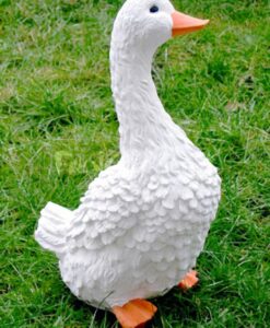 ANIMALI