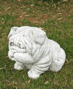 Ciccio