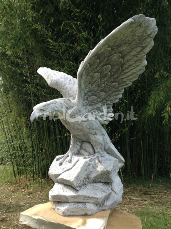 Aquila